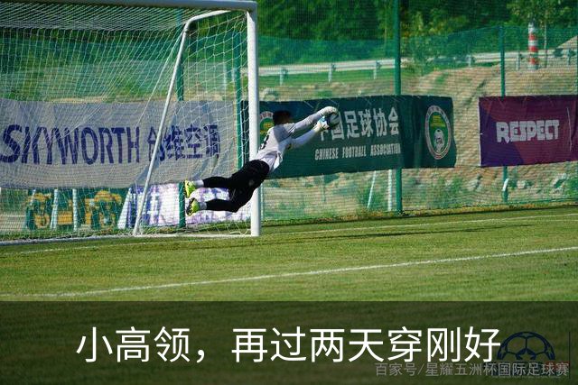 小高领，再过两天穿刚好